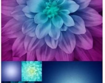 Aurora Kablooms Digitales Stoff-Panel / Aurora Flower Quilt Panel / Hoffman Dream Big 43x27 / Exklusiv für SewWhatQuiltShop