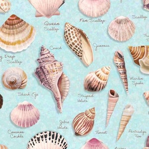 Seashell Wishes Digital Sea life Fabric by Clothworks Shells on Aqua / Beach Sea Shells Yardage and Fat Quarters