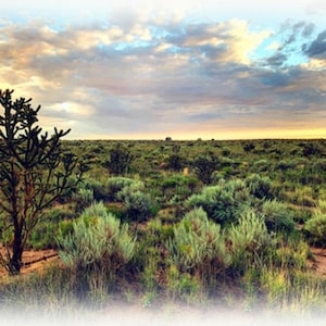 Up and Away Desert Scene Cactus & Sky Quilting Fabric Panel Digital 32&#39;x44&quot; by Hoffman Spectrum