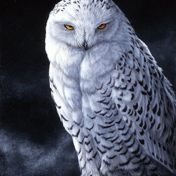 Snowy Owl Panel 36x43 Quilt Fabric Panel By David Textiles  100% Cotton Quilting Fabric Panels