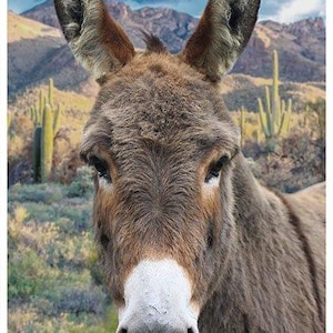 Donkey Fabric Panel, Hoffman Call of the Wild Fabric Panel Quilt Panel / Call of the Wild 28" Fabric, Donkey Panel / Quilting Fabric Panels
