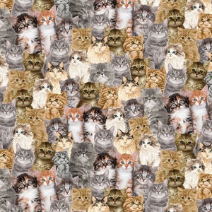 Packed Realistic Cats on Cream Fabric by Timeless Treasures Kitties Packed Kittens  Fabric By The Yard and Fat Quarters