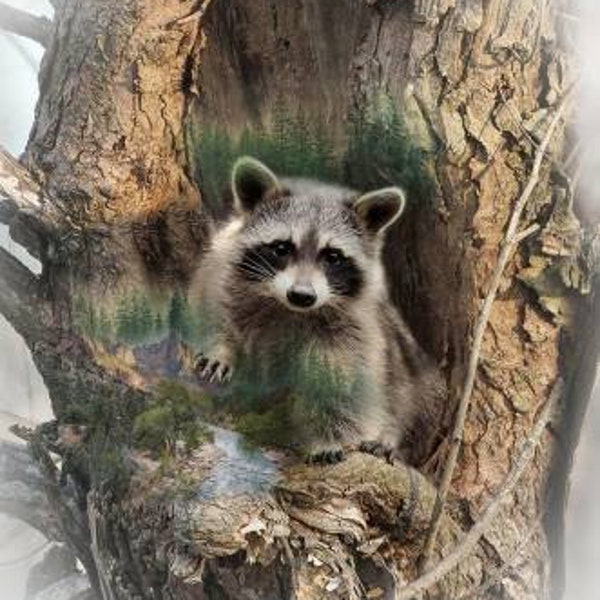 Racoon in a Tree Fabric Panel, Forest  Animals Hoffman Spectrum Call of the Wild Quilt Panel 31-3/4inx42-1/2in Quilting Fabric Panels