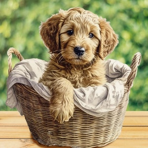 Baby Golden Doodle Panel Dog Fabric Panel 36&quot; Panel by David Textiles / Man&#39;s Best Friend Panel David Textiles exclusive Digital Print