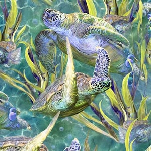 Ocean Fish Fabric / Turtle Odyssey Sea Turtles on Teal Fabric by QT Fabrics, Ocean Fish Fabric Fat Quarter and Yardage