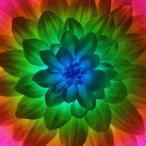 Spectrum Dream Big Fabric Panel, Hoffman Dream Big  43&quot; Square Floral Quilt Fabric by the panel