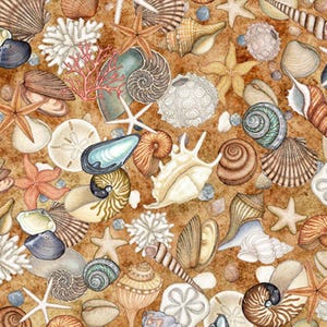 May include: A pattern featuring a variety of seashells, starfish, and coral in shades of brown, tan, white, and blue. The design includes nautilus shells, sand dollars, and spiral shells arranged on a textured, sandy-colored background.