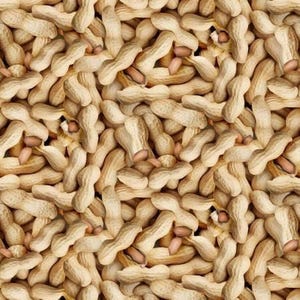 May include: A dense, repeating pattern of whole peanuts in their light tan, textured shells. Some shells are slightly cracked, revealing the smooth, light brown skin of the peanut kernels inside. The arrangement creates a uniform, textured surface.