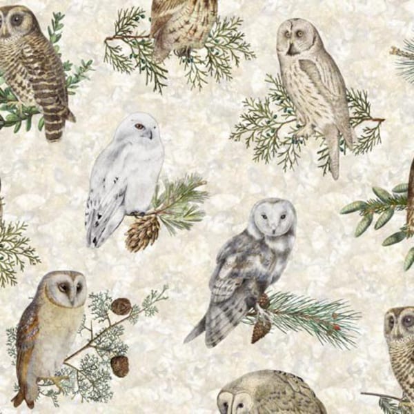 Owl Fabric / Winterhaven Owls on Ecru  Owl Fabric, Wildlife from QT Fabrics Yardage and Fat Quarters available