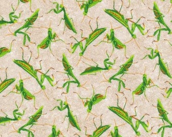 昆虫生地 カマキリ生地 / 戯れる野原 / 1ヤードあたりの虫 / ペイントブラシスタジオ 15711