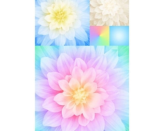 Hoffman Opal Kablooms Fabric Panel / Opal Flower Quilt Panel / Hoffman Dream Big  Exclusively for SewWhatQuiltShop Floral Quilt Panels