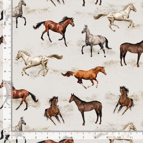 Horses Fabric / Wild Horses Racing Fabric by the Yard by Timeless Treasures Horses Fabric Yardage, By The Yard &  Fat Quarters