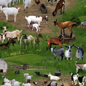 Goats on Green Fabric / Farm Animals Fabric / Elizabeth&#39;s Studios  359 Green / Goats in Pasture Fabric / Goats Yardage & Cow Fat Quarters