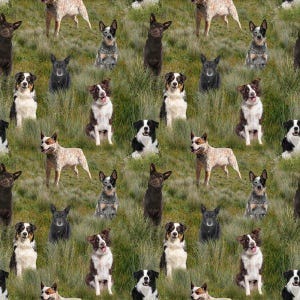 Mixed Herding Dogs Fabric / Merino Muster II by Kennard and Kennard  Fabric / Dog Fabric / Material Yardage & Fat Quarter Fabric