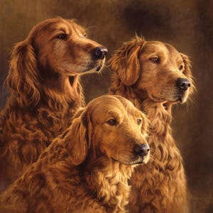 Golden Retriever Panel, 3 Generations Young and Old Dog Fabric Panel 36&quot; Panel / Man&#39;s Best Friend Panel David Textiles exclusive Print