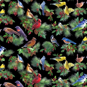 Weihnachtsvögel und Beeren als Allover auf schwarzem Stoff von Elizabeth's Studio Cardinal Fabric Meterware und Fat Quarters erhältlich
