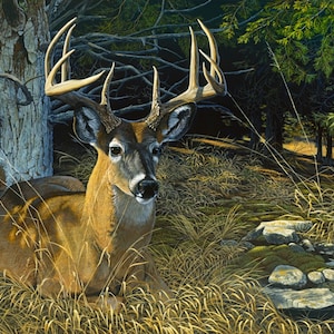 Deer Quilt Fabric Panel / Southern Exposure 36&quot; Deer Panel by David Textiles Deer Panel 36x44 inch  / Digital Deer Fabric Panel