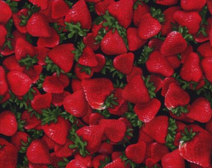 Strawberry Fabric by the Yard / Strawberries / C1810 Fabric Timeless ...