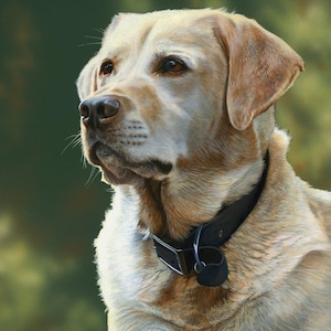 Panel de tela de perro labrador amarillo Wallace de 36" de David Textiles / Panel "El mejor amigo del hombre". Impresión digital exclusiva de David Textiles.