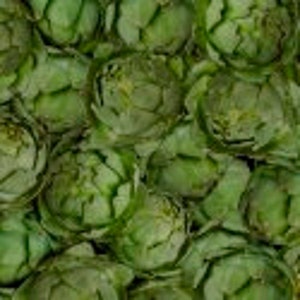 Food Fabric by the yard, A La Carte Artichokes "Okey Dokey Artichokey" by Windham, fat quarters & yardage available