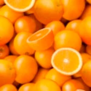 Food Fabric by the yard, A La Carte Oranges "Vitamin C" by Windham, fat quarters & yardage available