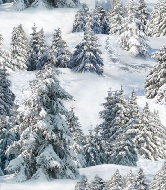 Snow Scene Winter Fabric, White / Elizabeth Sutdio's 215 Landscape Medley Snow