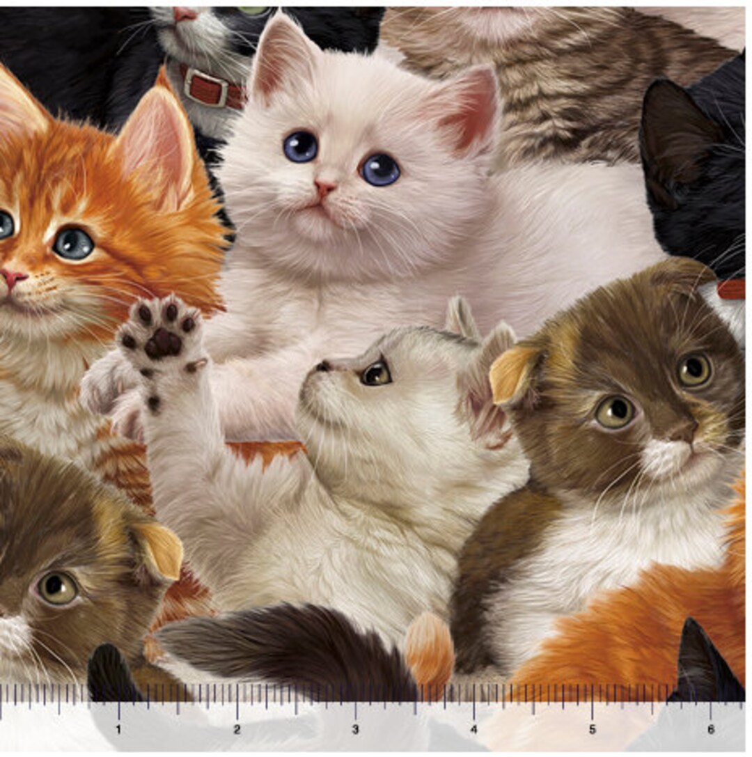 Literary Kitties Packed Kittens Fabric / Library Cats Yardage by