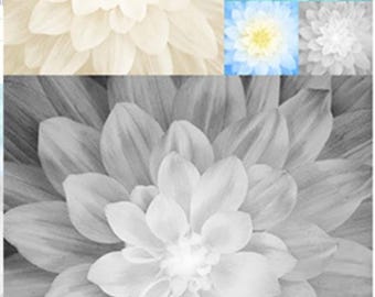 Hoffman Onyx Kablooms-stofpaneel / Quiltpaneel met onyxbloem / exclusief door Hoffman voor SewWhatQuiltShop / Quiltpanelen met bloemen