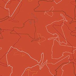 Carte de l'État de New York sur tissu rouge, tissu I Love New York par Riley Blake, tissu houblon entièrement fabriqué dans l'État de New York, métrage en métrage et gros quartiers