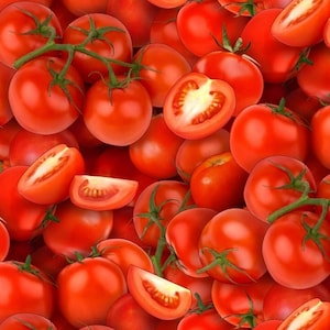 Tomato Fabric / Food Fabric / Elizabeth&#39;s Studio 436  / by the yard and Fat Quarters