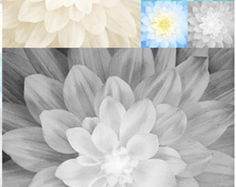 Hoffman Onyx Kablooms Stoffpanel / Quilt-Panel mit Onyxblumen / von Hoffman Exklusiv für SewWhatQuiltShop / Quilt Panel mit Blumenmuster