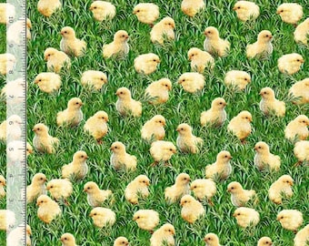 Easter Fabric, Chicks on Grass, Just Hatched Collection by the Yard by Timeless Treasures Happy Easter Easter Fabric yardage Fat Quarters