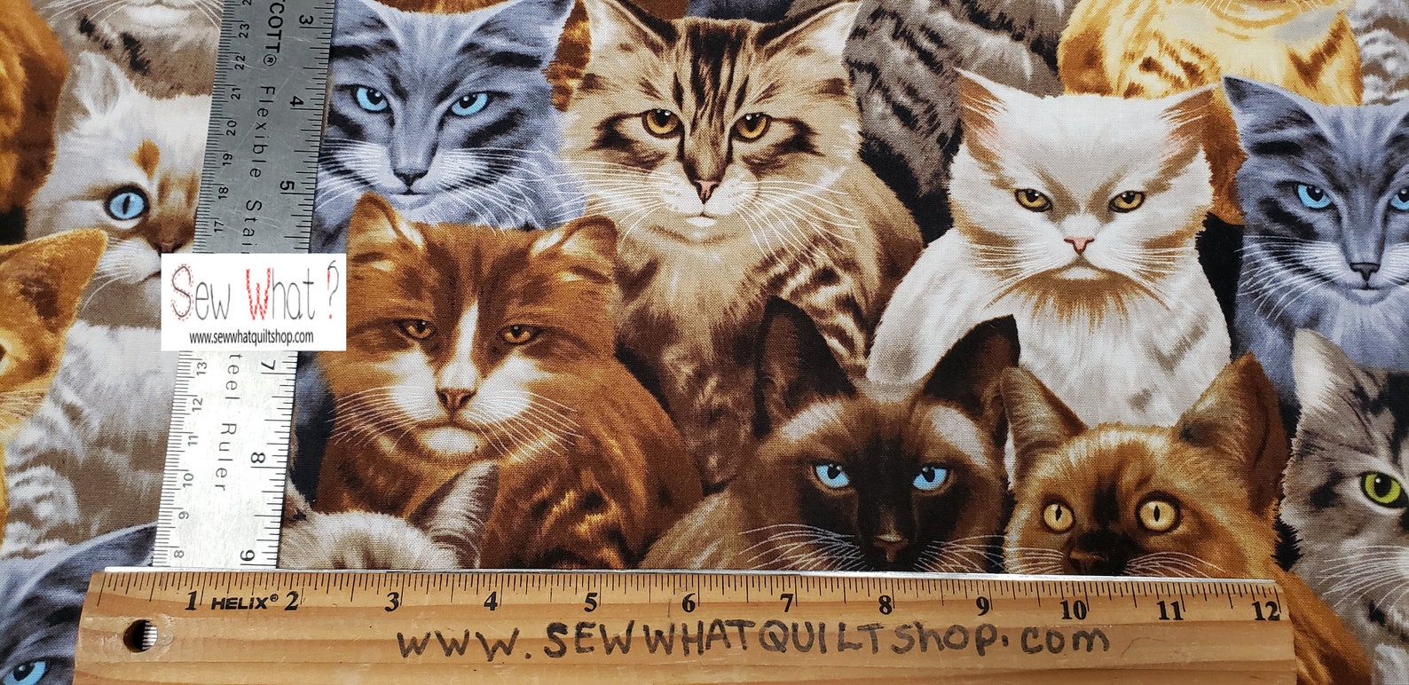 Cats Fabric / Cats Fabric / All Over Cats / Timeless Treasures Etsy