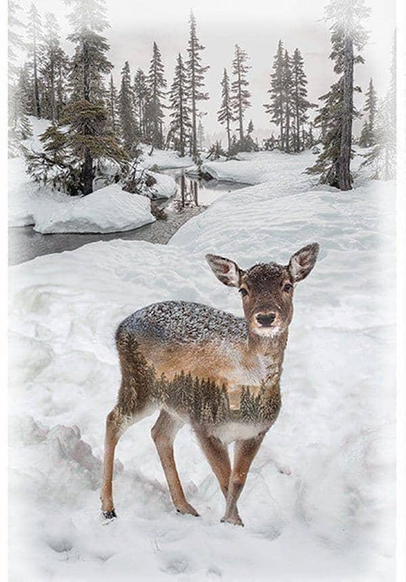 Deer Fabric Panel / Fawn - Call of The Wild  30" Panel Call of the Wild Deer Panel 30in x 43in by Hoffman Quilting Fabric Panels