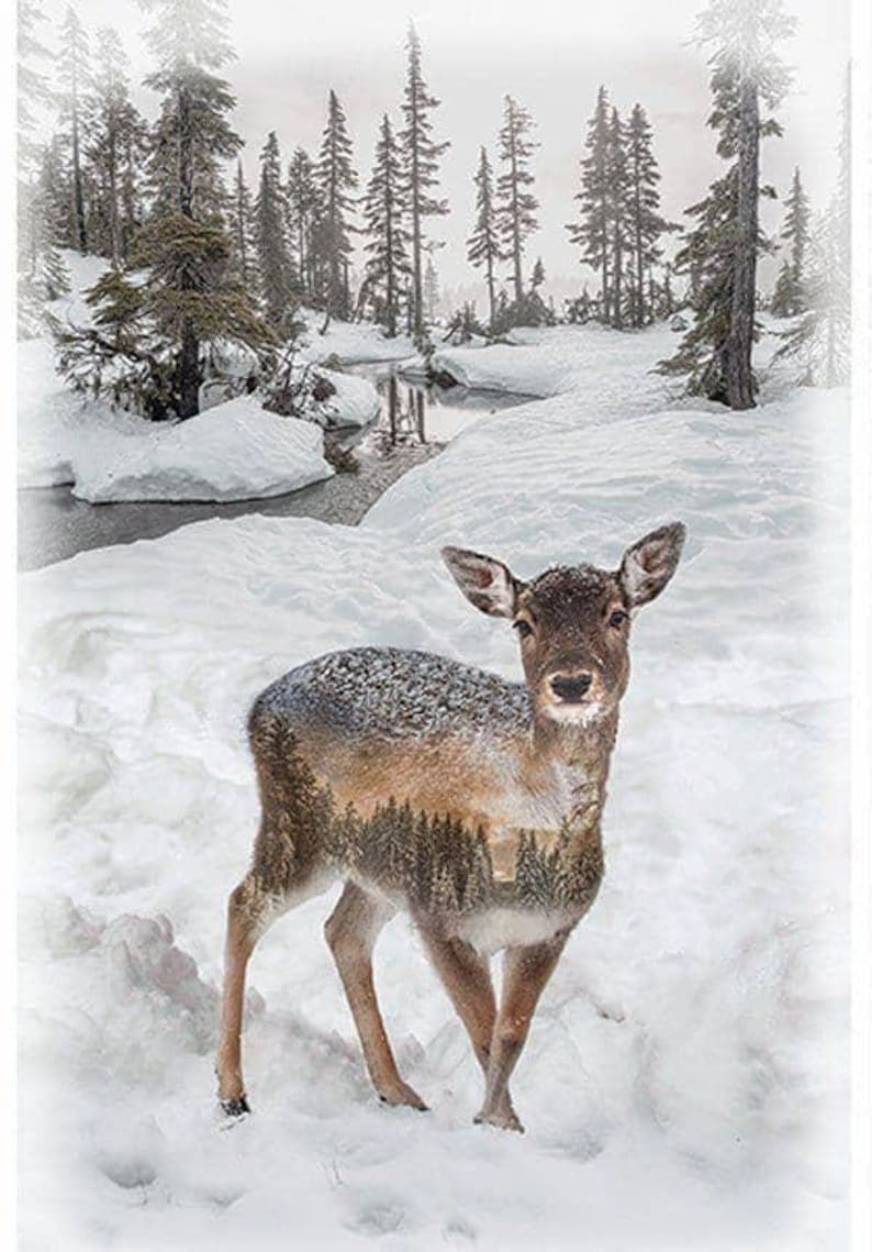 Deer Fabric Panel / Fawn - Call of The Wild 30" Panel Call of the Wild Deer Panel 30in x 43in by Hoffman Quilting Fabric Panels image 1