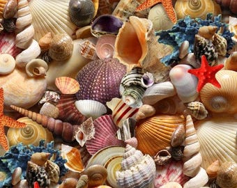 Sea Shells Toss / Seashell Fabric / Landscape Medley by Elizabeth Studio 392 /  Sea Shells All Over / Yardage and Fat Quarters