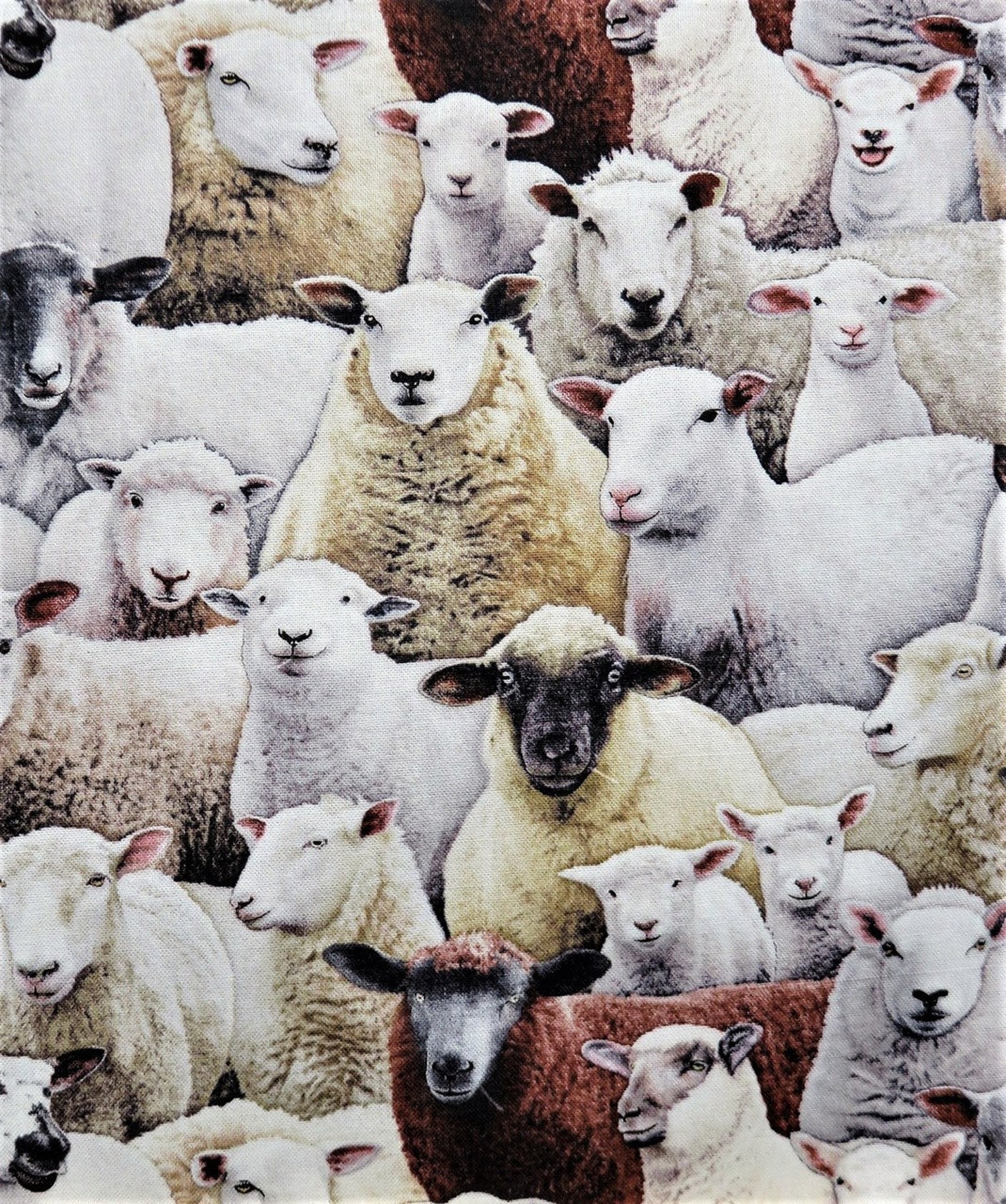 Sheep Fabric by the Yard Farm Animal Fabric From Etsy