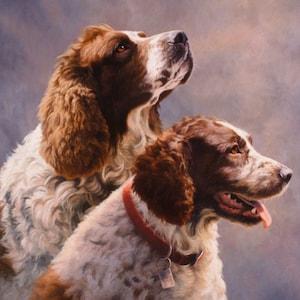 Puede incluir: Dos perros marrones y blancos con orejas caídas. El perro de la izquierda está mirando hacia arriba y el perro de la derecha está mirando hacia un lado con la lengua fuera.