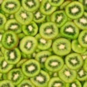 Food Fabric by the yard, A La Carte KIWI "Down Under" by Windham, fat quarters & yardage available