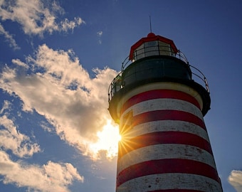 Lighthouse 36" Panel by David Textiles / Light House Fabric Panel / Quilt Panel  Fabric Panel