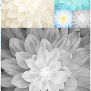 Hoffman Onyx Kablooms / Panneau de courtepointe à fleurs d'onyx / Exclusivité Hoffman pour SewWhatQuiltShop / Panneaux de courtepointe à fleurs