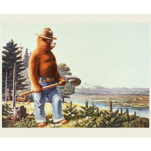Smokey the Bear Fabric Panel, Friends of Smokey Bear, Licensed by Riley Blake, 36" Quilt Panel / Fabric by the Panel / Cotton Quilting Panel