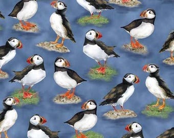 Papageitaucher Stoff / Papageientaucher Stoff / Nordamerika Wildtiere von QT Fabrics / Puffin Stoff Meterware & Fat Quarters