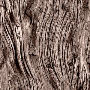 Tessuto Driftwood / Tessuto Landscape Quilting Treasures Open Air Wood Grain Tessuto Wood Grain tagliato su misura e Fat Quarter