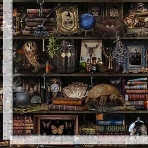 May include: A detailed image of a shelf filled with antique items. It features books, framed pictures, a blue crystal ball, a glass jar with butterflies, an owl, a turtle, and various bottles. The color palette is dark with a vintage aesthetic.