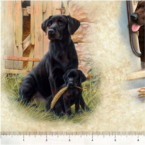 May include: Two black Labrador Retriever dogs, one adult and one puppy, sitting in a grassy field. The adult dog is sitting with its head turned to the side, while the puppy is sitting with its head tilted down. Both dogs have brown eyes and black noses. The adult dog is holding a brown stick in its mouth. The background is a blurry image of a wooden fence and a stone wall.