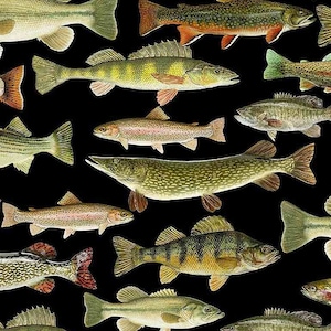 Op de afbeelding: Een verzameling van verschillende vissoorten, waaronder forel, baars en snoek, geïllustreerd in een vintage stijl met gedetailleerde markeringen en kleuren tegen een zwarte achtergrond.