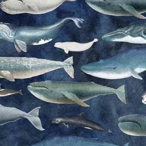 Whales on Blue Fabric Siren's Call by QT, Sailboats Fabric / Ocean Sea Life Fabric by the yard / Fat Quarter and Yardage