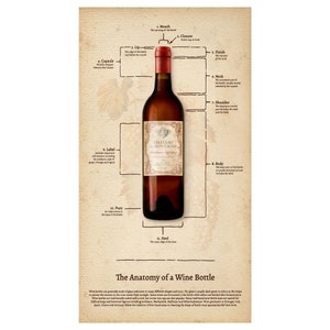 Cheers! Digital 24&quot; Anatomy of a Wine Bottle Panel on Light Caramel by Clothworks