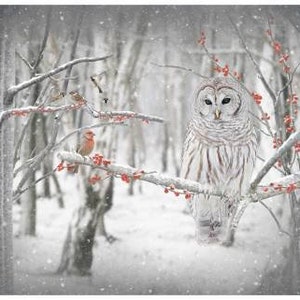 Birch Call of the Wild Owl Panel 30in x 43-1/2in by Hoffman Quilting Fabric Panels